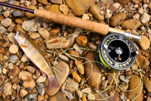 P. Pendleton Kennedy Chapter of Trout Unlimited to stock Deckers Creek with brown trout